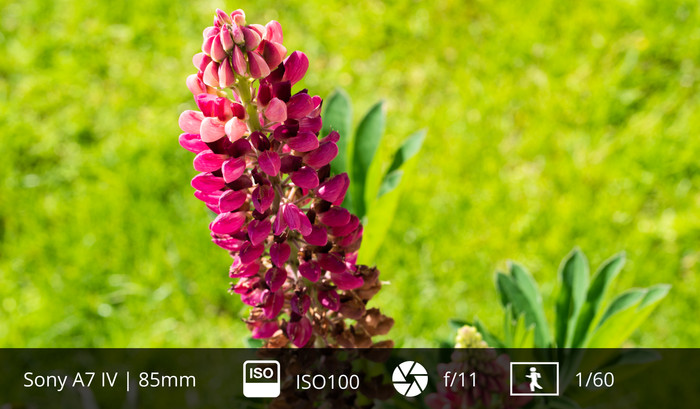 Sony FE 85mm f/1.8 visuelles Coolblue 1