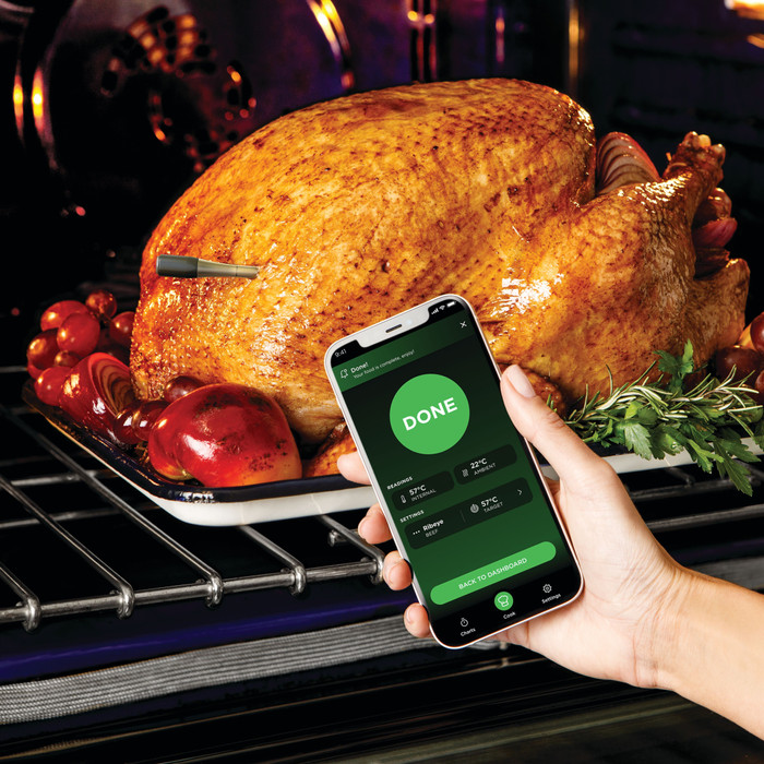 Ninja ProChef WP100EU product in use