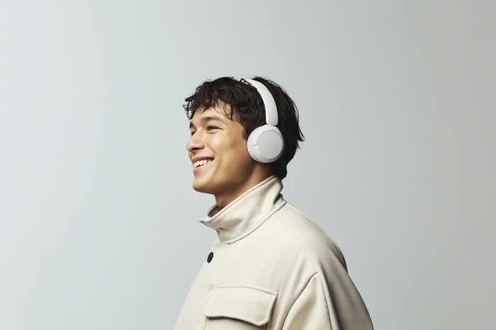 Sony WH-CH530 White product in use