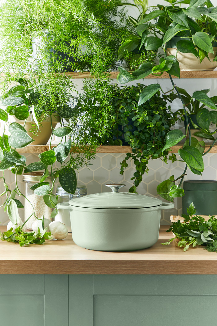 Tefal LOV Low Dutch Oven 28cm Green null