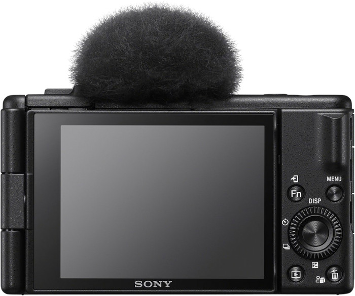 Sony ZV-1F null