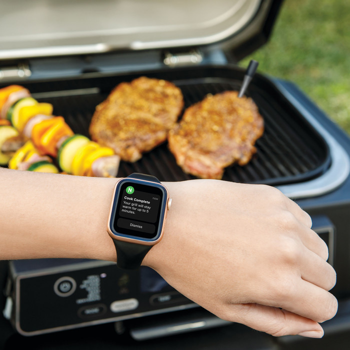 Ninja ProChef WP100EU product in use