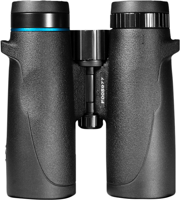 Vogelbescherming Buizerd 8x42 bottom