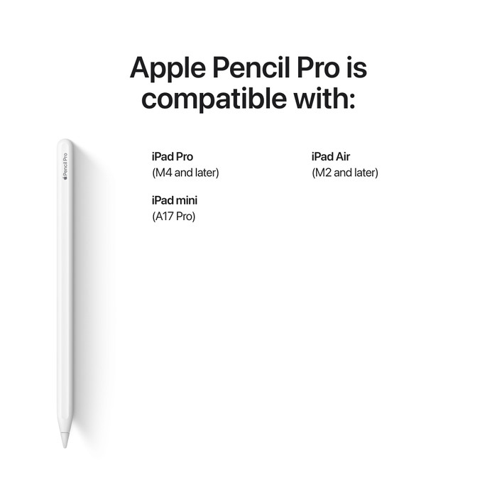Apple iPad Pro (2024) 11 inches 1TB WiFi + 5G Black + Apple Pencil Pro visual supplier