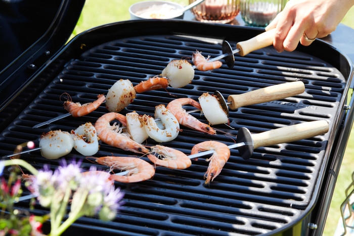 Barbecook Magnus Premium product in use