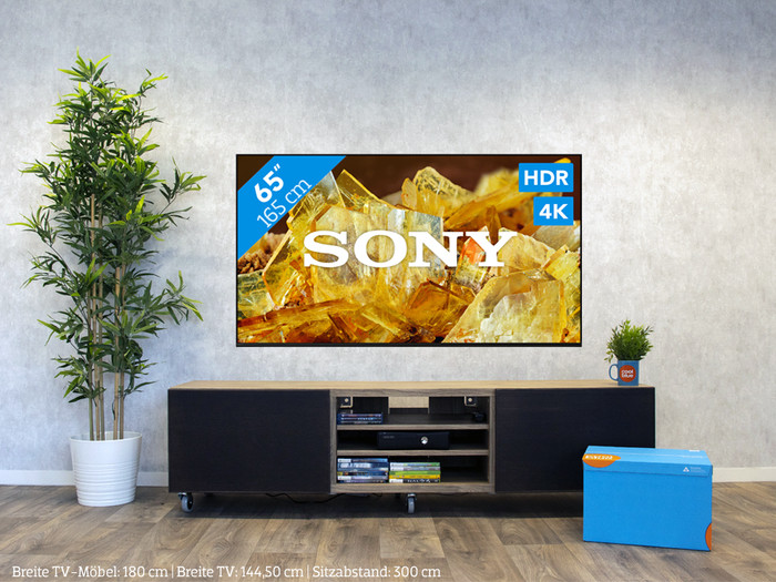 Sony Bravia KD-65X90L (2023) visuelles Coolblue 1