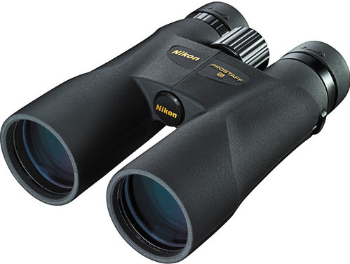 Nikon Prostaff 5 12x50 front