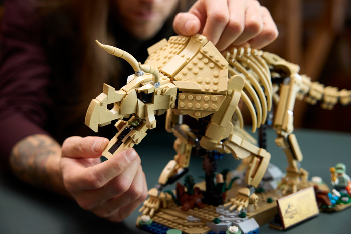 LEGO Jurassic World Dinosaur Fossils Triceratops 77985 product in use