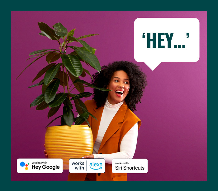 WiZ Edison Filamentlampe Doppelpack - Warmes bis kaltweißes Licht - E27 visueller lieferant