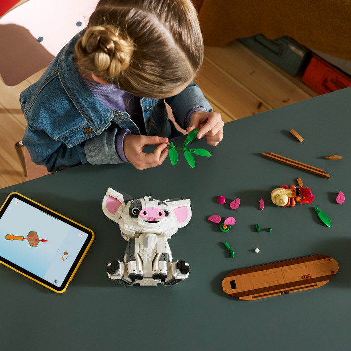 LEGO Disney Pua 43292 produkt in gebrauch