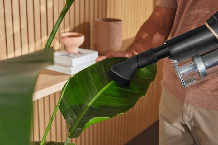 Miele Duoflex HX1 Cat & Dog product in use