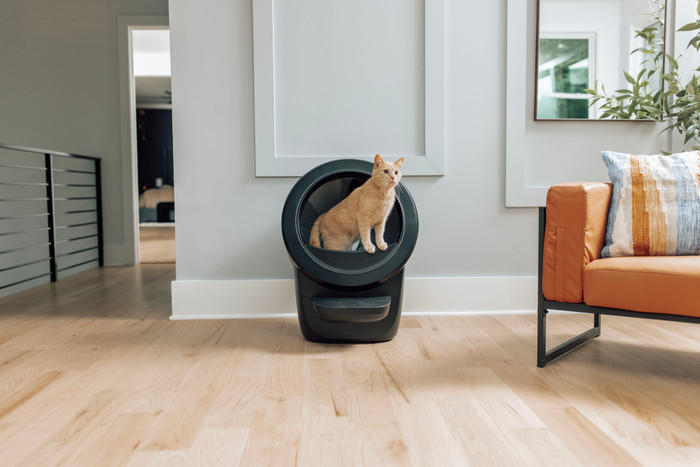 Whisker Litter-Robot 4 Schwarz produkt in gebrauch