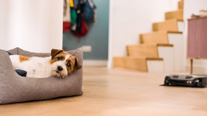 Miele Scout RX3 Runner produkt in gebrauch