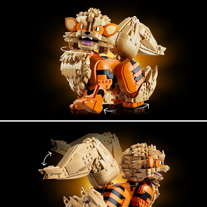 LEGO Pokémon Arkani 72160 detail