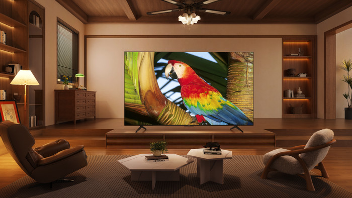 TCL QLED 55C61B (2024) visual supplier