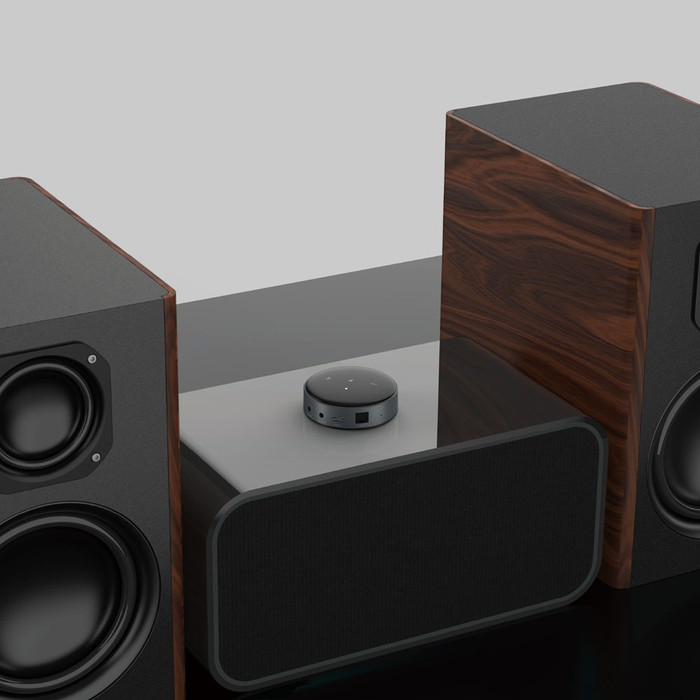 WiiM Mini visual supplier