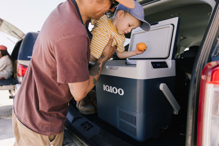 Igloo ICF32 product in use