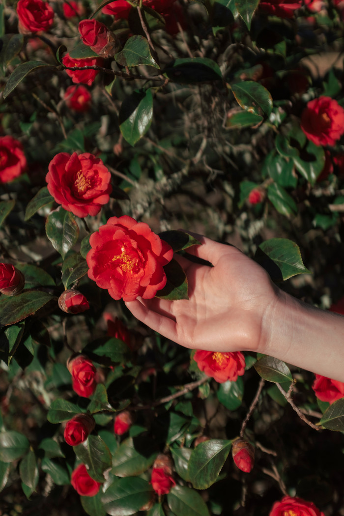 Polaroid Everything Box Hi-Print 2x3 Gen 2 White visual supplier