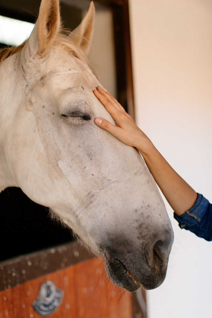 Polaroid Hi-Print 2x3 Fotopapier (60 Stück) visueller lieferant