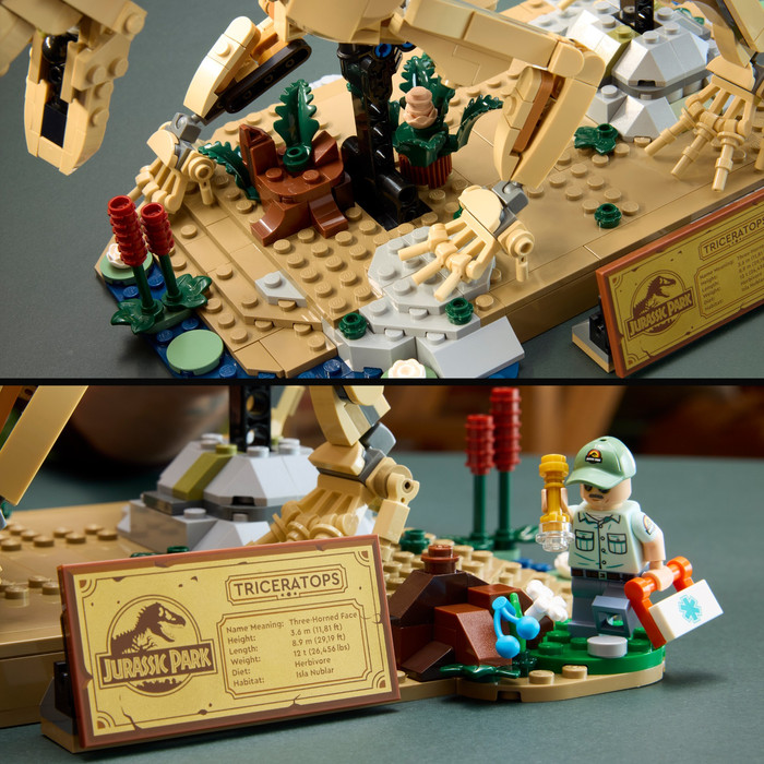 LEGO Jurassic World Dinosaur Fossils Triceratops 77985 product in use