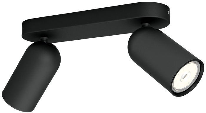 Philips Pongee Aufbauspot - 2 Spots - Schwarz Main Image