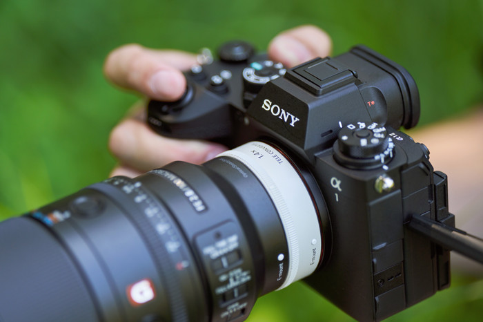 Sony FE 100mm f/2,8 Makro GM OSS produkt in gebrauch