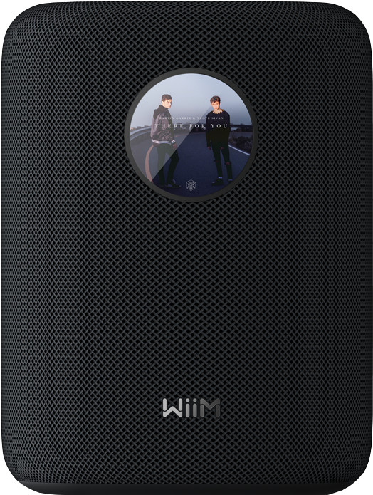 WiiM Sound Schwarz Main Image