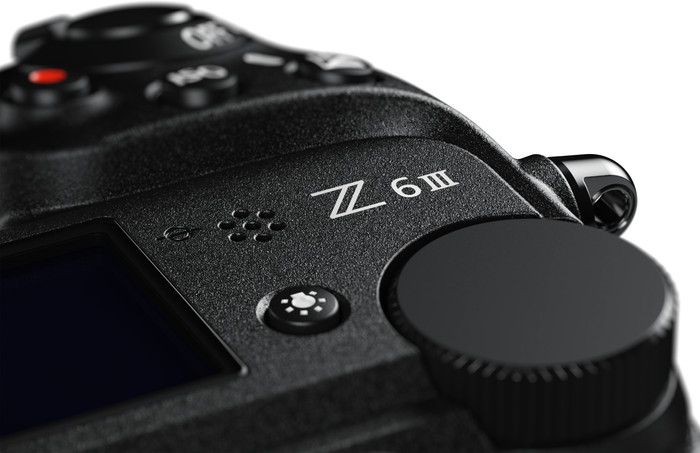 Nikon Z6III + NIKKOR Z 24-200mm f/4-6.3 VR detail