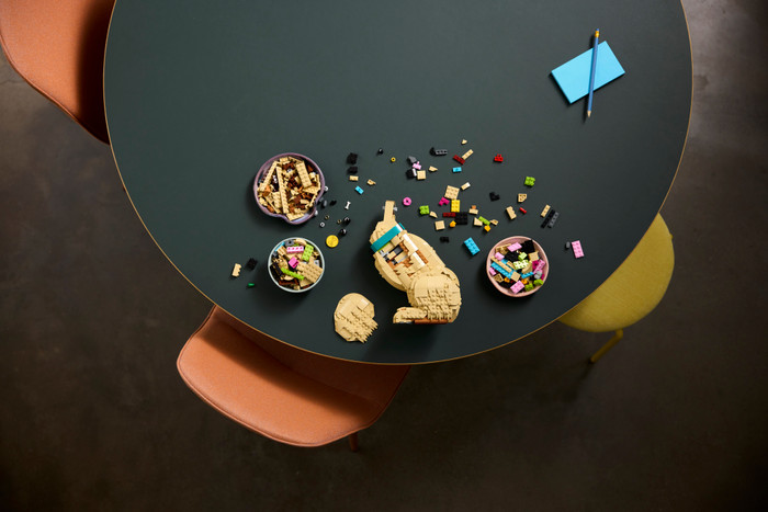 LEGO Icons Golden Retriever Welpe 11384 produkt in gebrauch