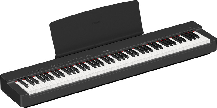 Yamaha P225 linke seite