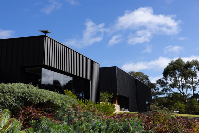 Starlink Flat High Performance visual supplier