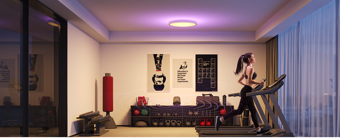 Govee Ceiling Light 12 inches product in use