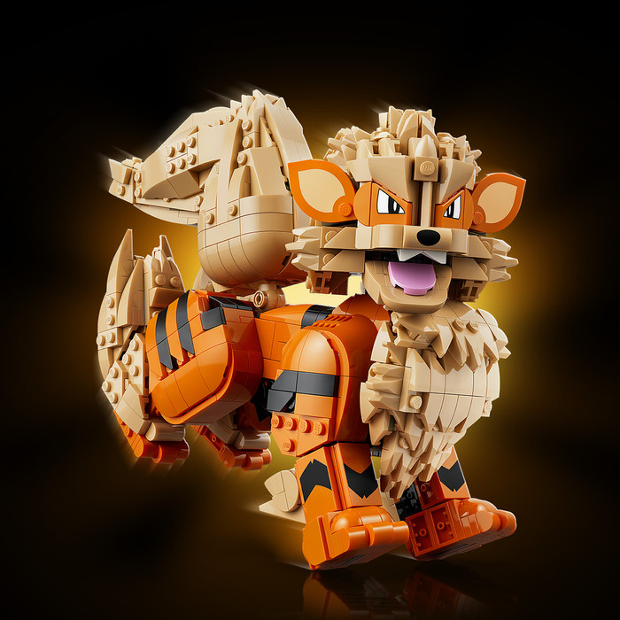 LEGO Pokémon Arkani 72160 produkt in gebrauch