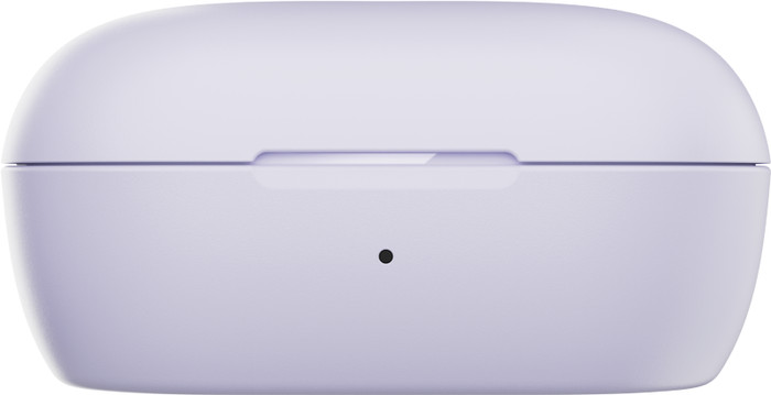 Bose QuietComfort Earbuds Purple accessory