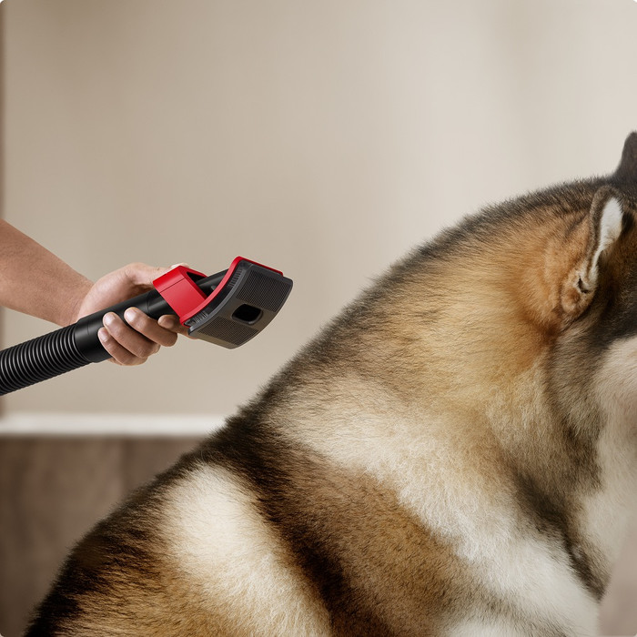 Dyson Pet Grooming Kit V16 product in use