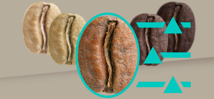 Siemens EQ900 TQ903DZ3 visual supplier