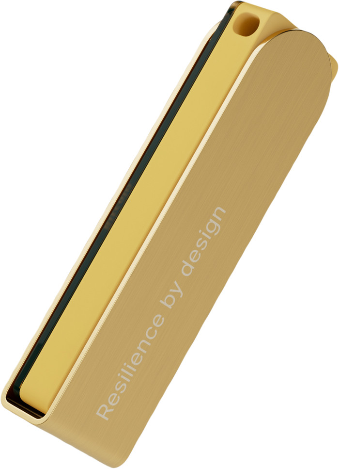 Ledger Nano X Gold inside