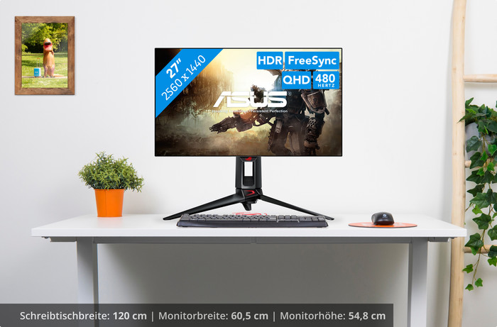 ASUS PG27AQDP visuelles Coolblue 1
