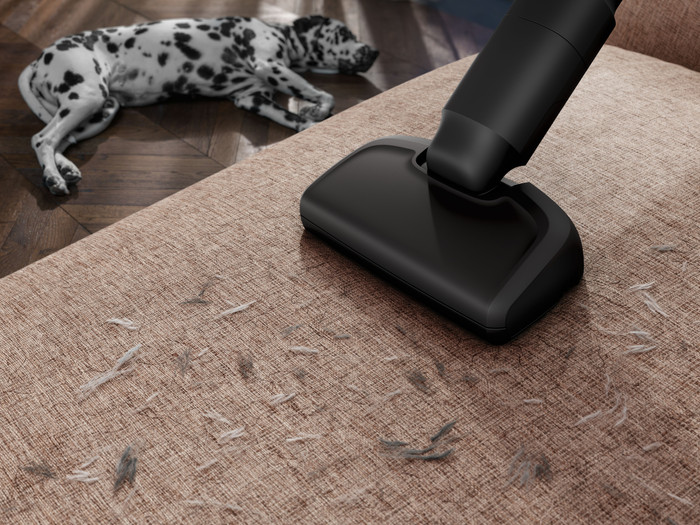 AEG AP61AB21DG ANIMAL 6000 product in use