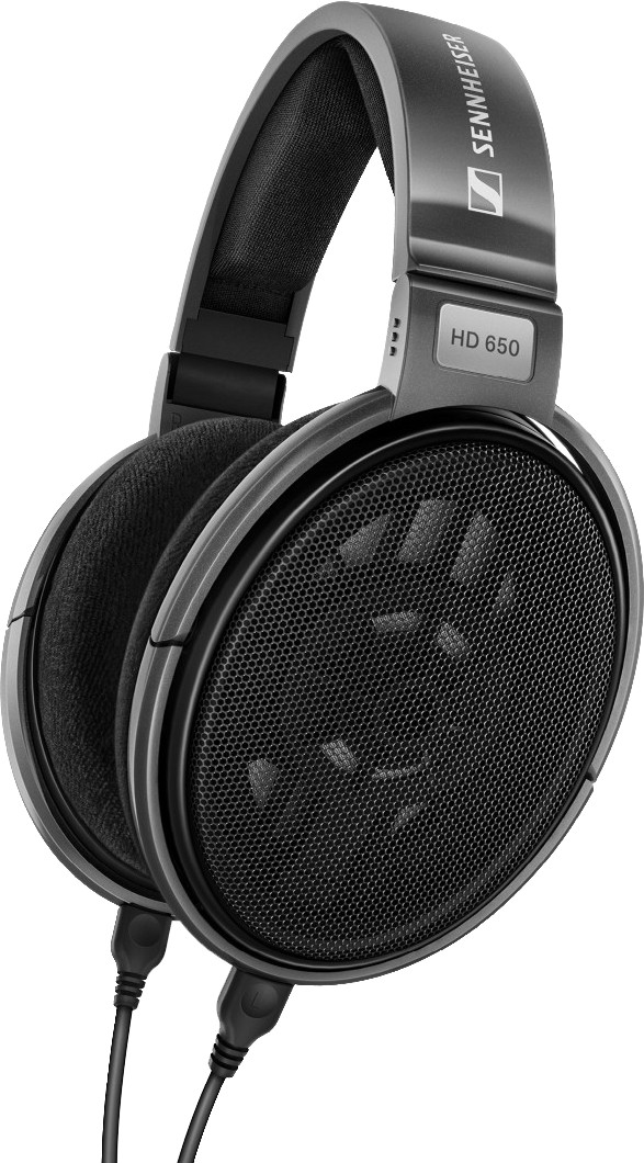 Sennheiser HD 650 Main Image