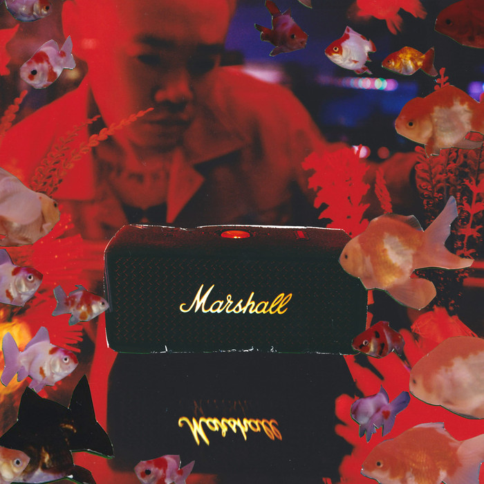 Marshall Emberton III BT Green product in use