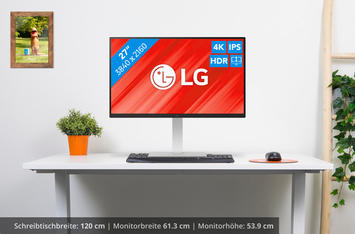 LG 27US550-W rückseite