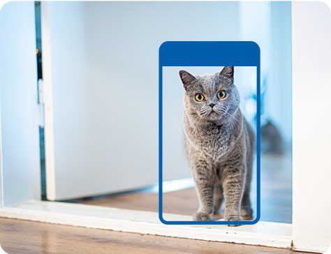 TP-Link Tapo C230 Doppelpack visueller lieferant