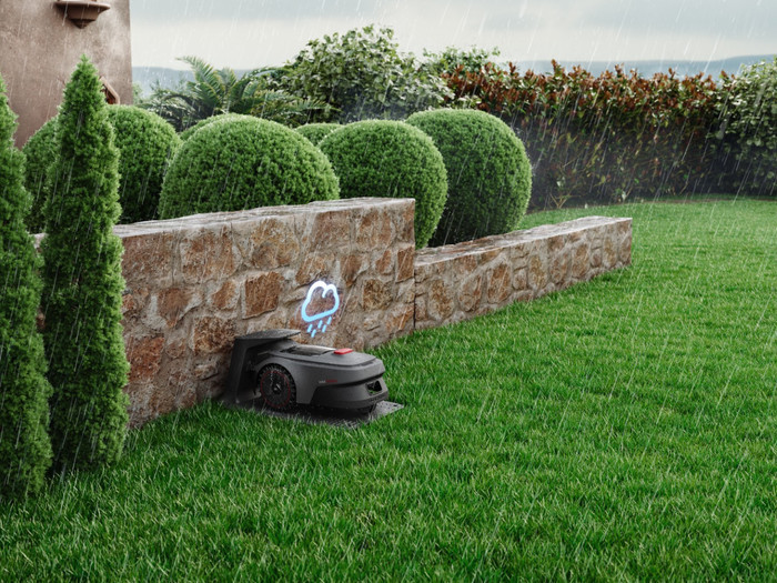 Mova ViAX 250 visueller lieferant