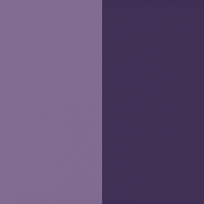 Dyson Airstrait Jasper Plum product color detail