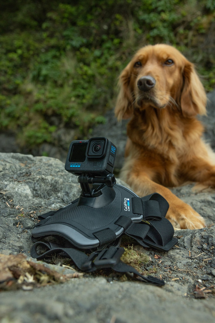 GoPro Fetch Dog Harness visual supplier
