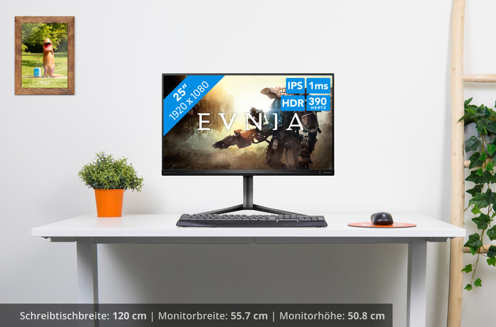 Philips Evnia 25M2N5200U/00 visuelles Coolblue 1