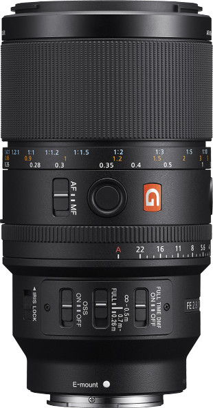 Sony FE 100mm f/2,8 Makro GM OSS Main Image