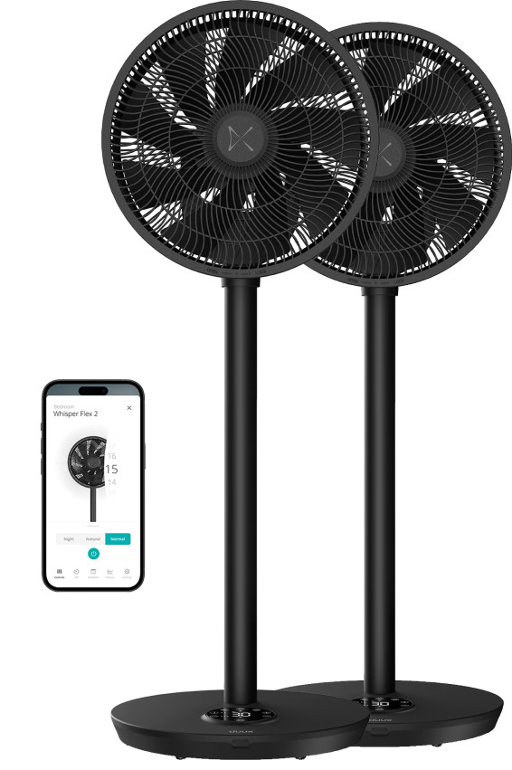 Duux Whisper Flex 2 Doppelpack Schwarz Main Image