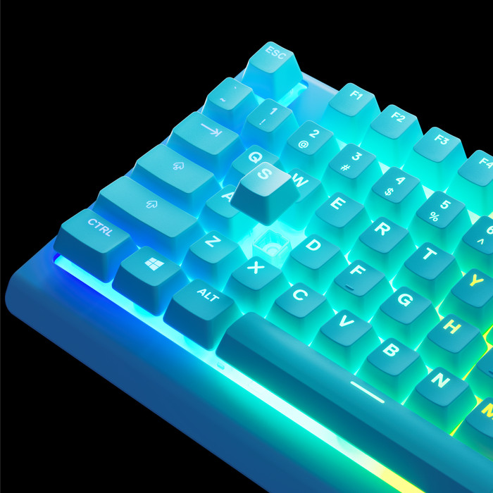 SteelSeries Apex 3 TKL Aqua QWERTZ detail